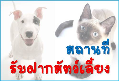  ʶҹ����Ѻ�ҡ�ѵ������§ ���� 