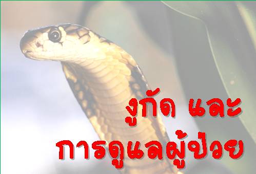  �پ�ɡѴ��С�ô��ż����� (�ت�� ��෾��ѡ�� : ���ᾷ����ʵ�� ����ŧ�ó�����Է�����) ���� 